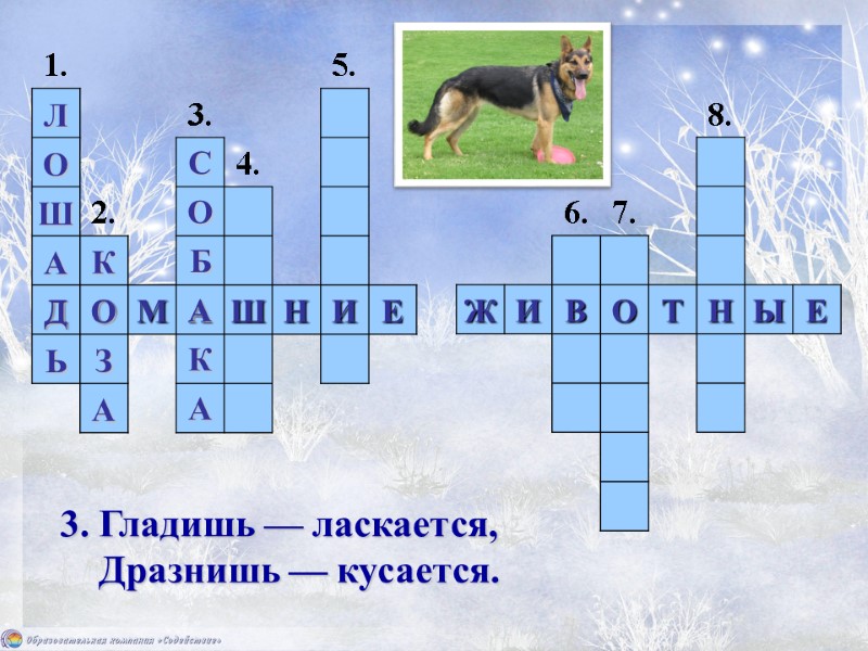 3. Гладишь — ласкается,     Дразнишь — кусается. 1. 2. 3.